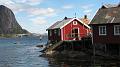 Norwegia (1006)